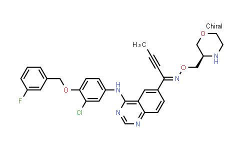 20123102 - (R,Z)-1-(4-((3-chloro-4-((3-fluorobenzyl)oxy)phenyl)amino) quinazolin-6-yl)but-2-yn-1-one O-morpholin-3-ylmethyl oxime | CAS 1831116-75-6